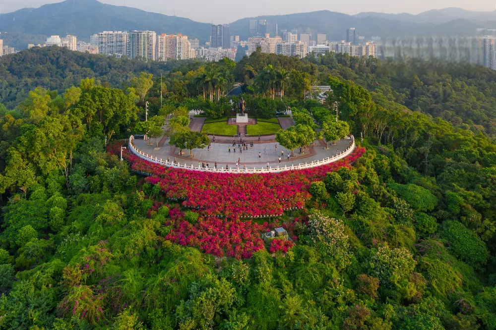蓮花山公園｜登頂俯瞰福田CBD的絕佳位置